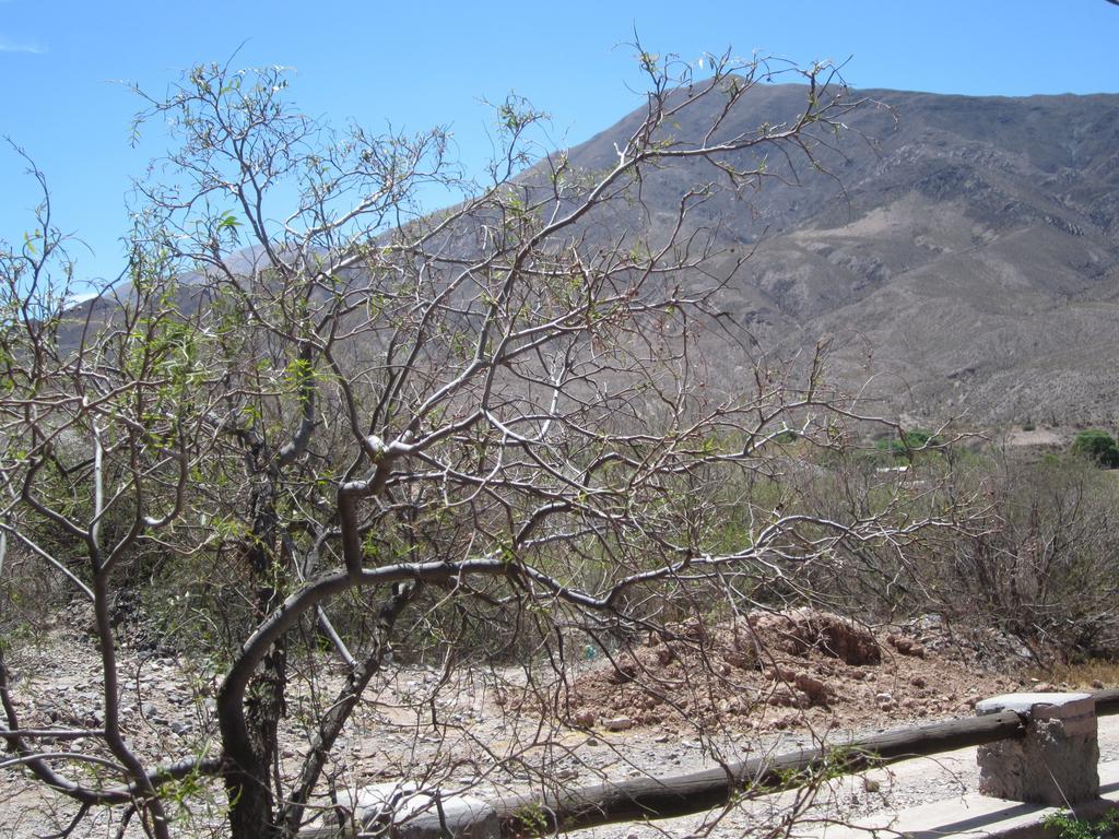Posada Campo Morado Huacalera Exterior foto